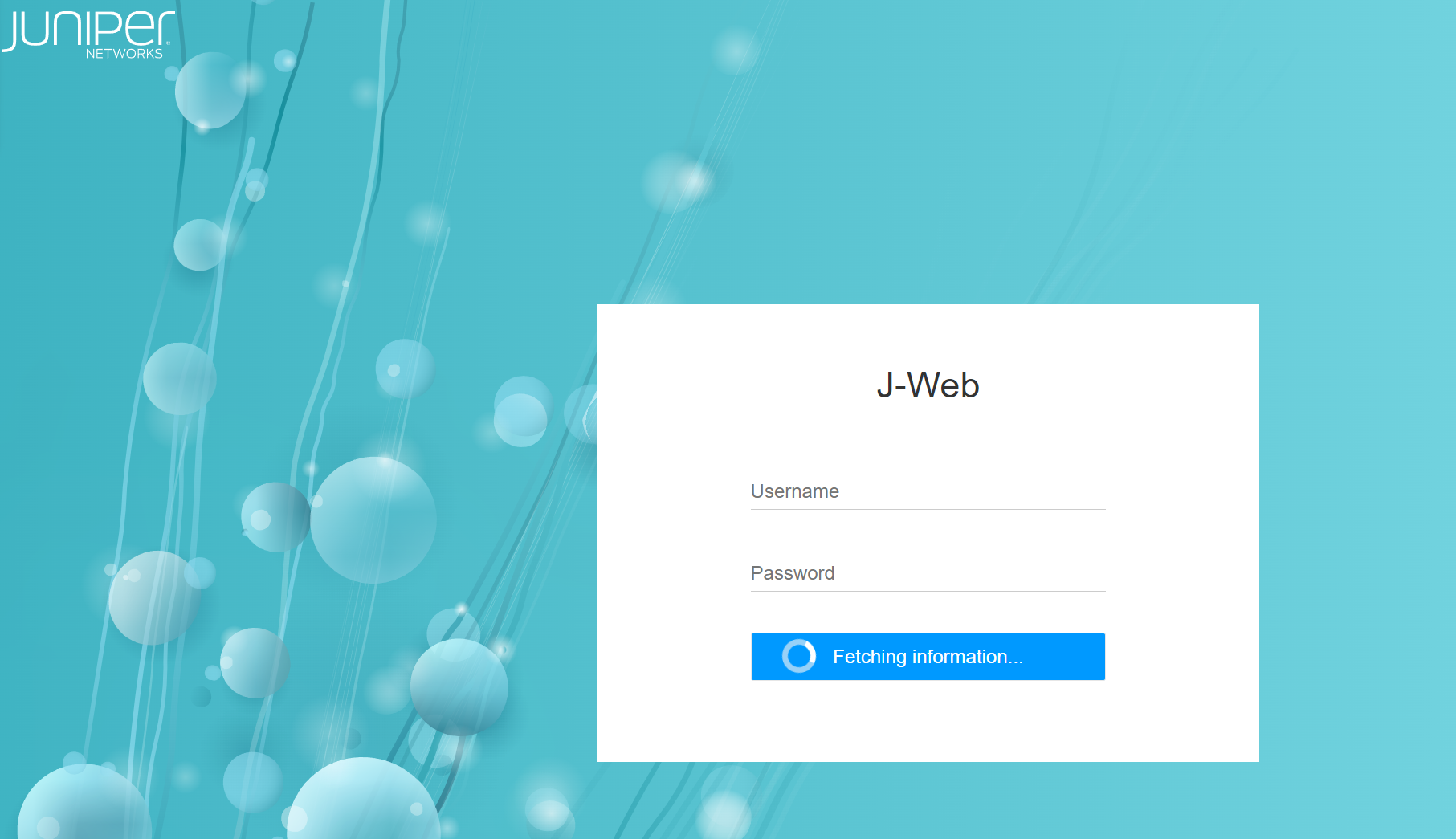 image-1.webp
